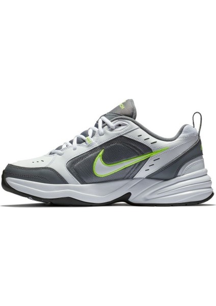Air Monarch Iv Erkek Ayakkabı 415445-100