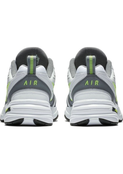 Air Monarch Iv Erkek Ayakkabı 415445-100