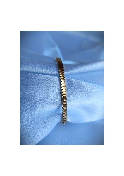 Çelik Bileklik fiyatları