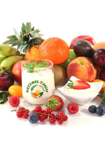 Naturel Meyve Parcalı Yoğurt( Emlma-Mandalina ) fırsatları