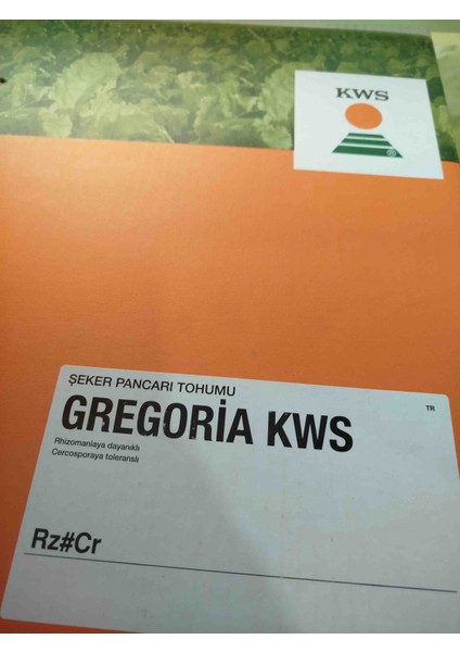 Gregorıa Şeker Pancarı Tohumu 100.000 Adet Kaplı Tohum