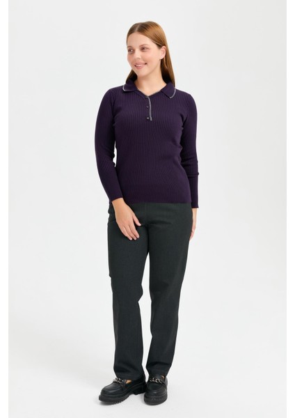 Büyük Beden Simli Polo Yaka Triko Kazak-MOR fiyatları