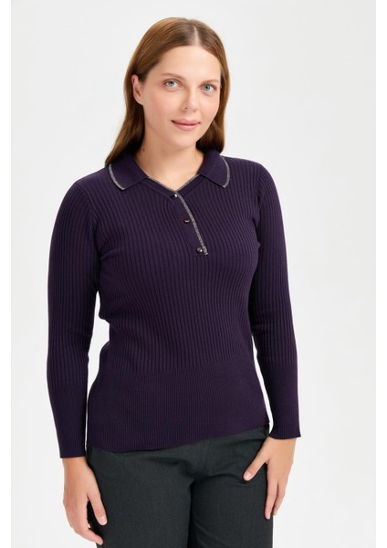 Büyük Beden Simli Polo Yaka Triko Kazak-MOR fırsatları