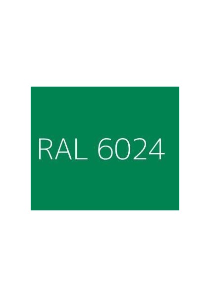 Akrilik Zemin Boyası 2.5 kg Ral 6024 Yeşil modelleri