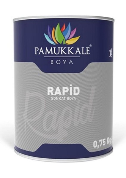 Rapid Boya 0.75 kg Mat Siyah