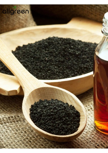 Çörek Otu Yağı 50 ml - Sabun Yapımı İçin Doğal ve Besleyici Yağ modelleri