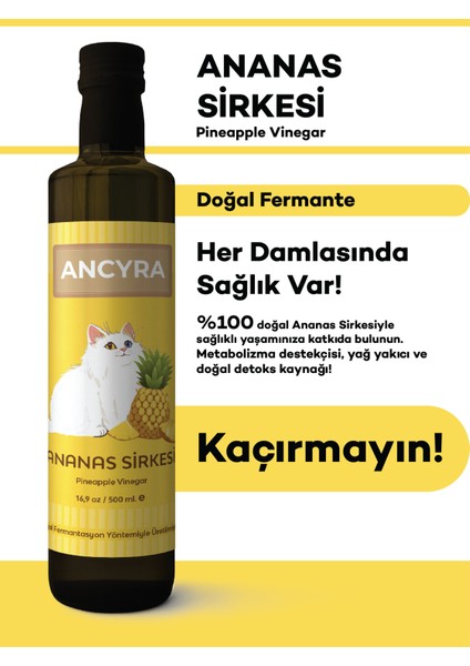 Ananas Sirkesi Doğal Fermante 500 ml fiyatları