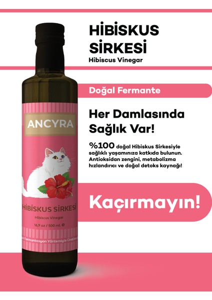 Hibiskus Sirkesi Doğal Fermante 500 ml