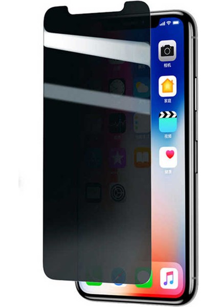 Apple iPhone Xs 5.8 ​​​​​​​​​​​​- Ekran Koruyucu Rika Premium Privacy Hayalet Temperli Cam Ekran Koruyucu - Şeffaf
