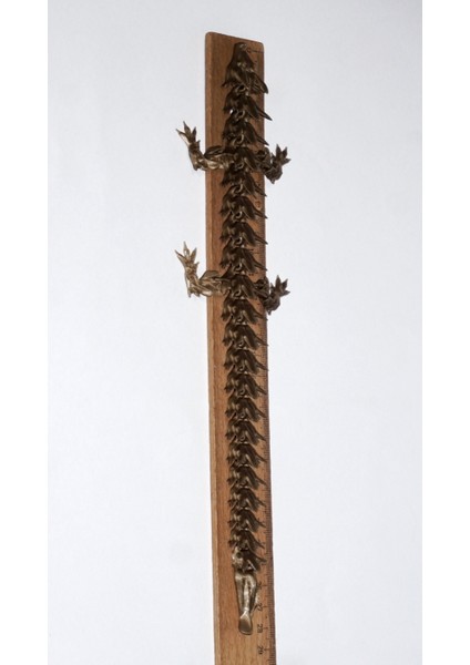 Eklemli Ejderha Altın Rengi 28 cm fırsatları