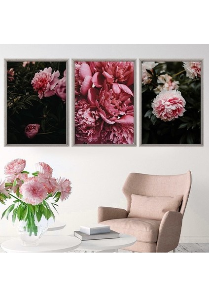 Pembe Şakayık 1 Üçlü Çerçeve ve Poster Seti - B1037 modelleri