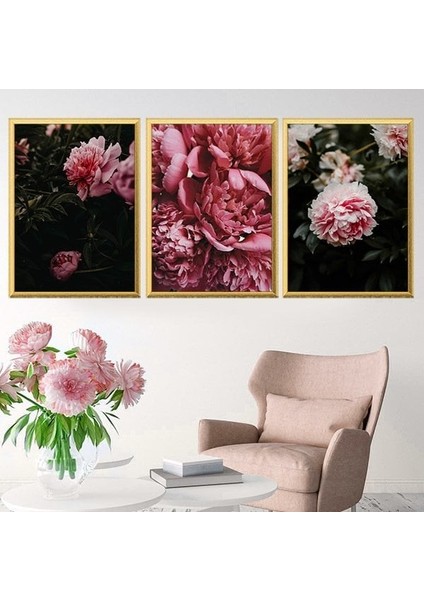 Pembe Şakayık 1 Üçlü Çerçeve ve Poster Seti - B1037 fırsatları