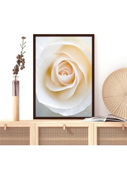 Beyaz Güller 3 Çerçeve ve Poster - B1221 fırsatları
