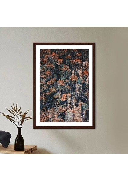Turuncu Orman 2 Çerçeve ve Poster - B1185 modelleri