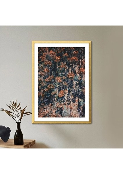 Turuncu Orman 2 Çerçeve ve Poster - B1185 fırsatları