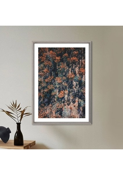 Turuncu Orman 2 Çerçeve ve Poster - B1185 indirimleri