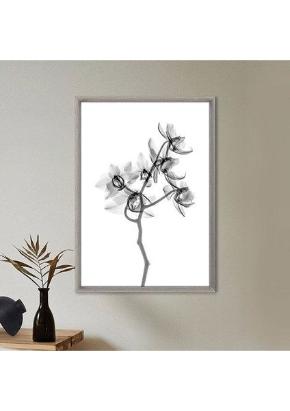 Gölgeli Bitki 2 Çerçeve ve Poster - B1101