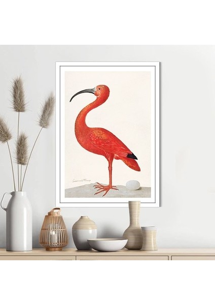 Flamingo 4 Çerçeve ve Poster - H1074