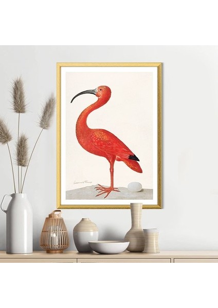 Flamingo 4 Çerçeve ve Poster - H1074
