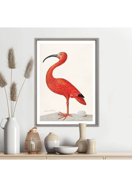 Flamingo 4 Çerçeve ve Poster - H1074