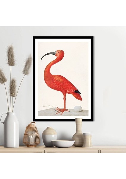 Flamingo 4 Çerçeve ve Poster - H1074