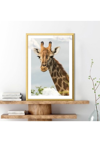 Bulutlar ve Zürafa 3 Çerçeve ve Poster - H1058 fiyatları