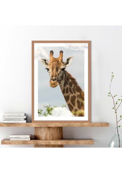 Bulutlar ve Zürafa 3 Çerçeve ve Poster - H1058 modelleri