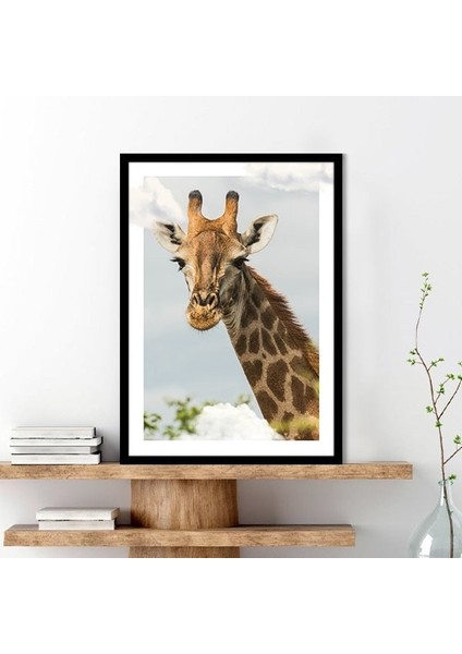 Bulutlar ve Zürafa 3 Çerçeve ve Poster - H1058 fırsatları