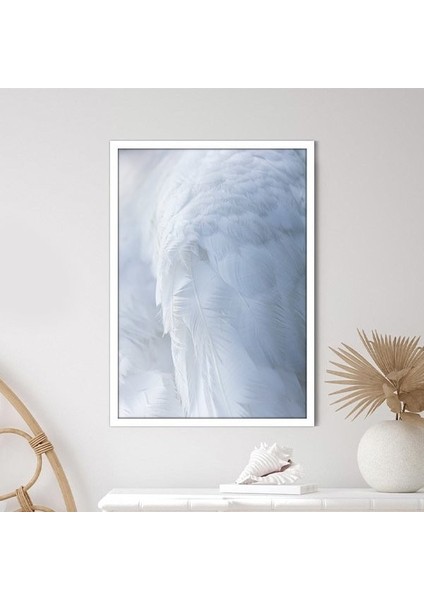 Beyaz Kuş Tüyü 1 Çerçeve ve Poster - H1068