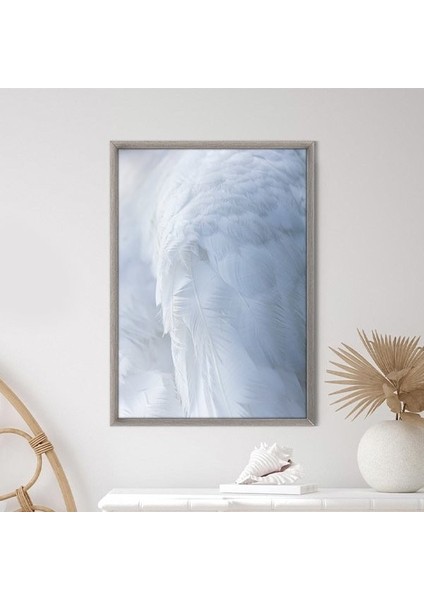 Beyaz Kuş Tüyü 1 Çerçeve ve Poster - H1068 fırsatları