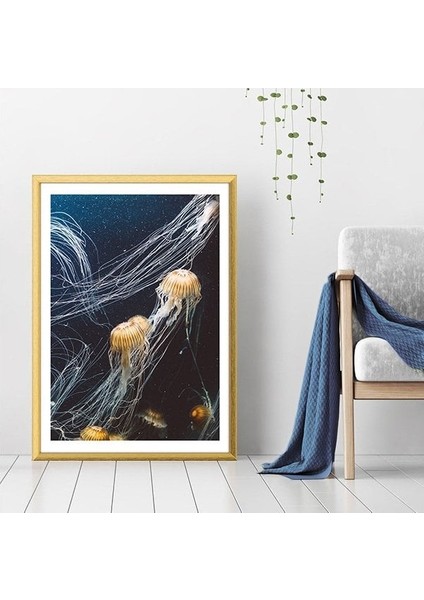 Deniz Anası 1 Çerçeve ve Poster - DO1042