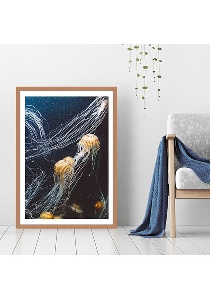 Deniz Anası 1 Çerçeve ve Poster - DO1042 indirimleri