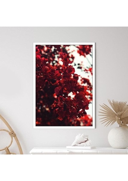 Bordo Güller 4 Çerçeve ve Poster - B1233