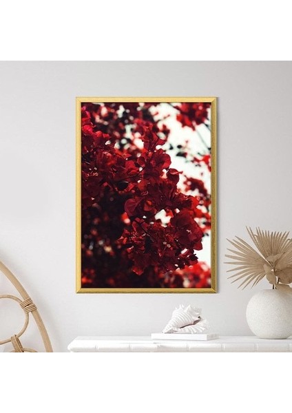 Bordo Güller 4 Çerçeve ve Poster - B1233 fiyatları