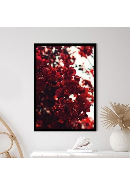 Bordo Güller 4 Çerçeve ve Poster - B1233 modelleri