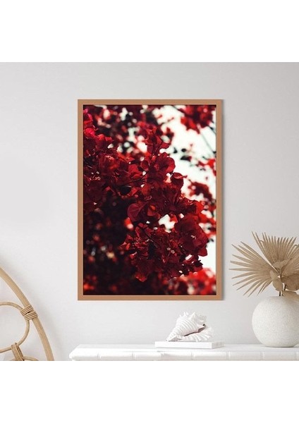 Bordo Güller 4 Çerçeve ve Poster - B1233 fırsatları