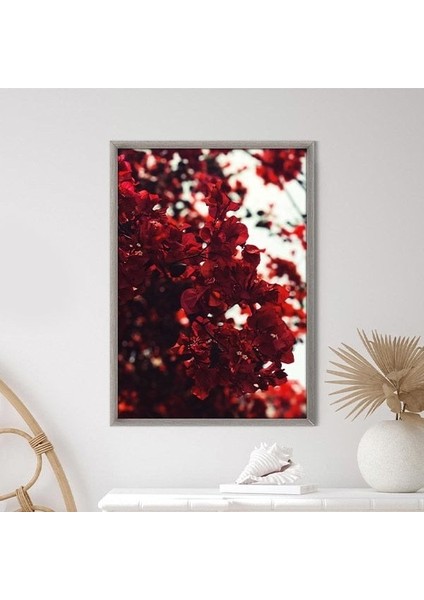 Bordo Güller 4 Çerçeve ve Poster - B1233 indirimleri