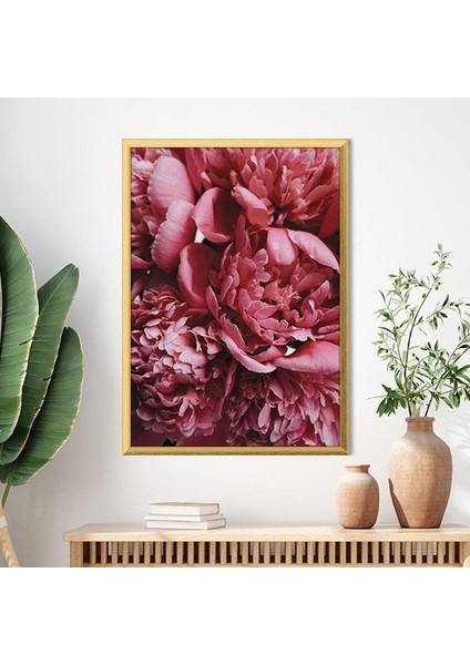 Pembe Şakayık 2 Çerçeve ve Poster - B1176 modelleri