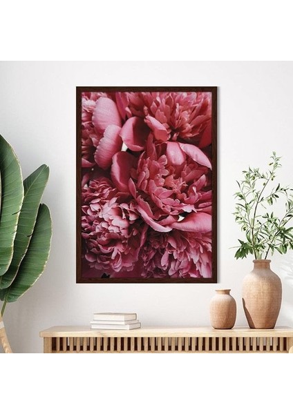 Pembe Şakayık 2 Çerçeve ve Poster - B1176 fırsatları