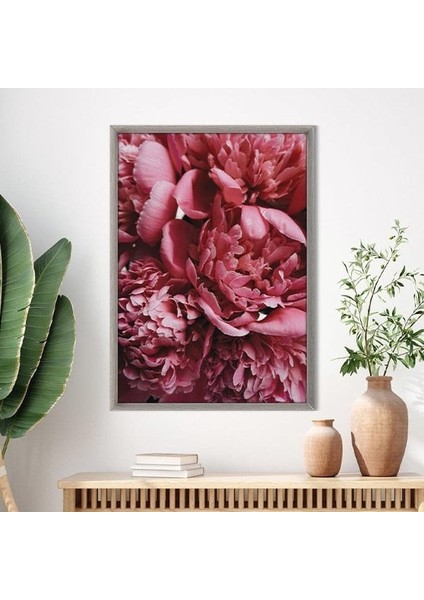 Pembe Şakayık 2 Çerçeve ve Poster - B1176 indirimleri