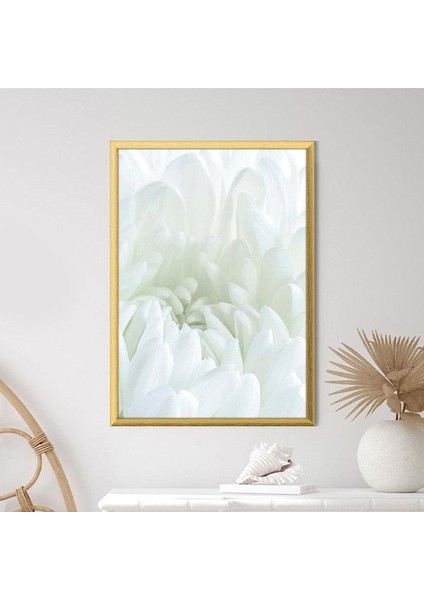 Beyaz Gül 5 Çerçeve ve Poster - B1229 fiyatları