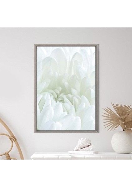 Beyaz Gül 5 Çerçeve ve Poster - B1229 indirimleri