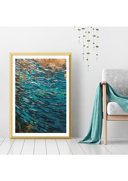 Balıklar 3 Çerçeve ve Poster - DO1040