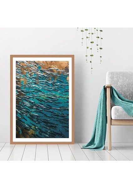 Balıklar 3 Çerçeve ve Poster - DO1040