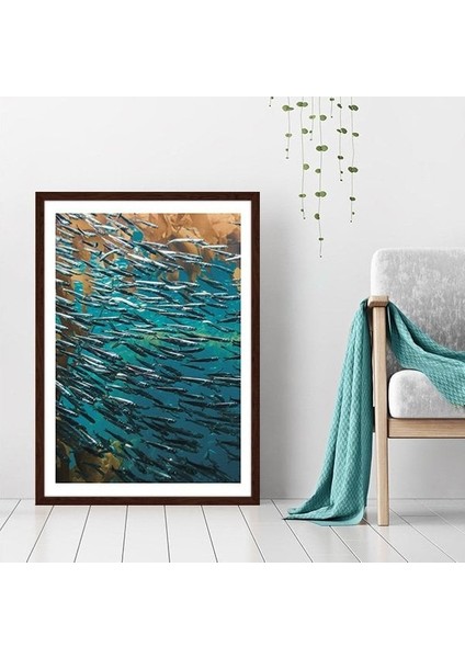 Balıklar 3 Çerçeve ve Poster - DO1040
