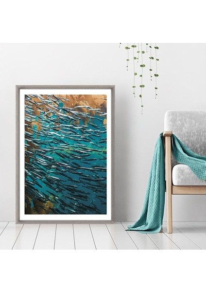 Balıklar 3 Çerçeve ve Poster - DO1040
