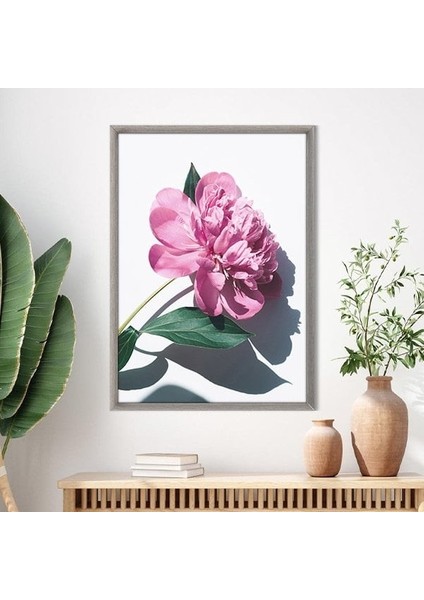 Pembe Şakayık 8 Çerçeve ve Poster - B1201