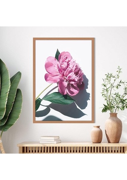 Pembe Şakayık 8 Çerçeve ve Poster - B1201