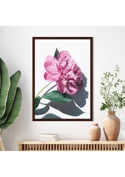 Pembe Şakayık 8 Çerçeve ve Poster - B1201