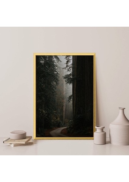 Ormanın Derinlikleri 1 Çerçeve ve Poster - DO1061 fiyatları